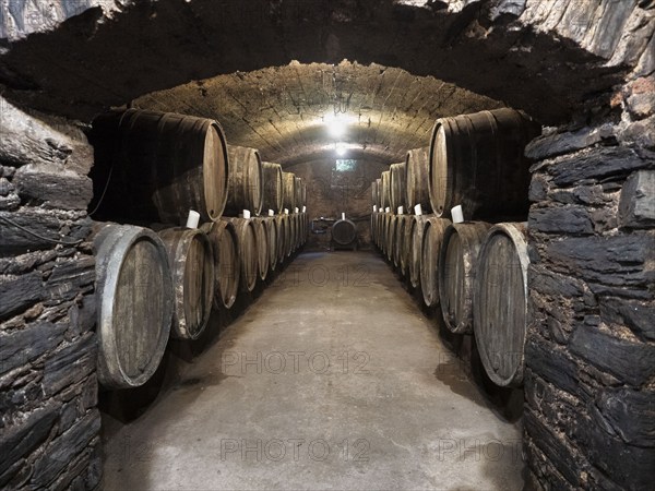 Oak wine barrels in the cellar of a winery, wine cellar, Bernkastel-Kues, Moselle,