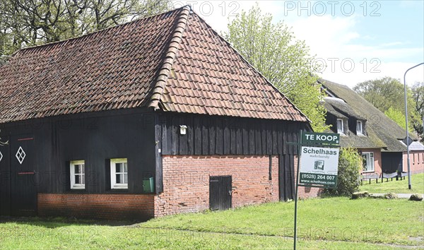 NL, Eesergroen: Spring characterises the landscape, towns and people in the province of Drenthe in