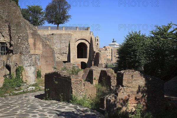 Terrace of the Orti Farnesiani, Farnese Gardens, Monte Palatino, Palatine Hill, Rome, Italy, Europe