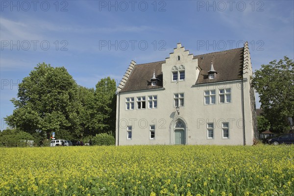 White building with stepped gable and yellow flower meadow, rape field, Burgstraße, Mittelzell,