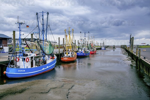 Harbour with shrimp boats at low tide, Dorum-Neufeld, Dorum, Wurster North Sea coast, Land Wursten,