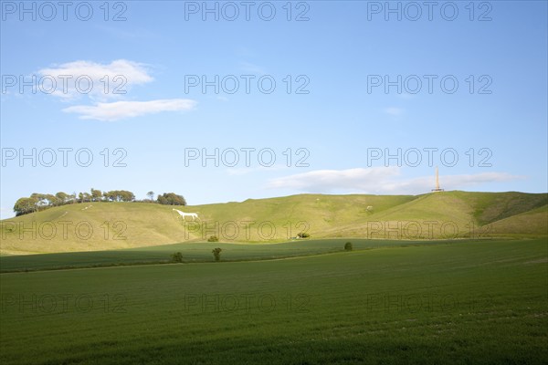 Scarp slope of White Horse on Cherhill Down and Lansdowne monument, Cherhill, Wiltshire, England,