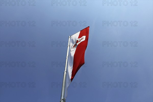 Österreichische Flagge vor blauem Himmel (Austrian flag in front of a blue sky)