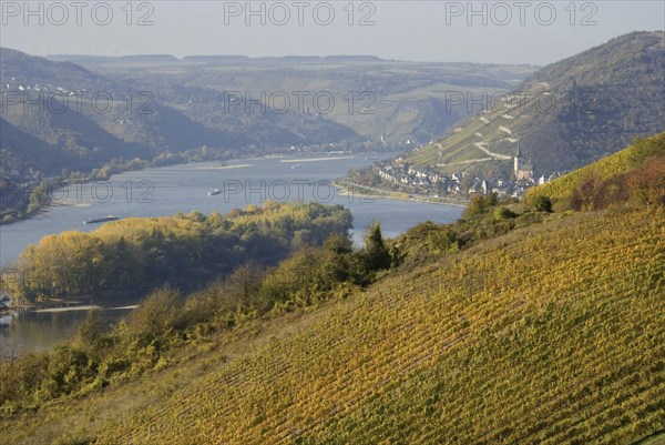 Europe, Germany, Rhineland-Palatinate, Middle Rhine, Rhine Valley, river, Rhine, autumn, autumn