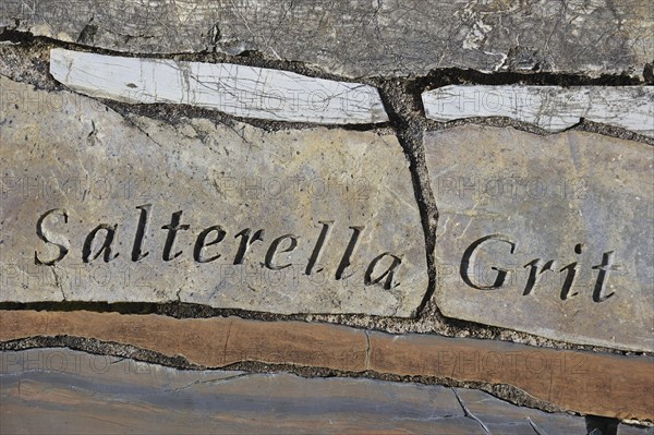 Salterella grit rock fragment, part of the Knockan Puzzle at the Knockan Crag National Nature