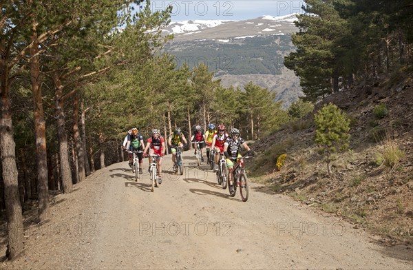 Cycling in the Sierra Nevada Mountains in the High Alpujarras, near Capileira, Granada Province,