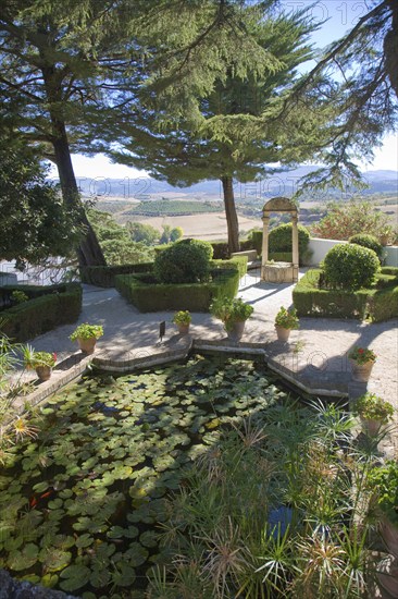 Pond plants trees in garden Casa del Rey Moro, Ronda, Spain, Europe