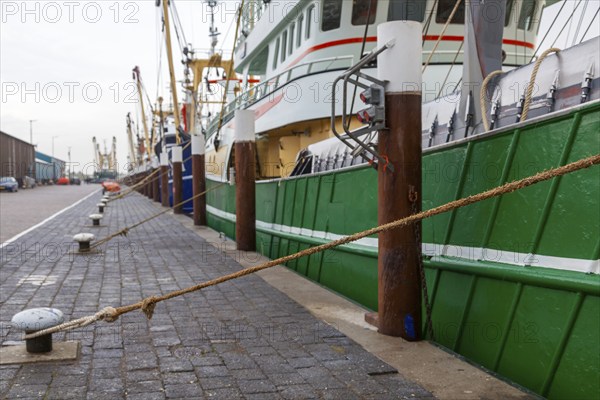 Fishing boats moored to bollards, Oudeschild harbour, Texel, West Frisian Island, North Holland,