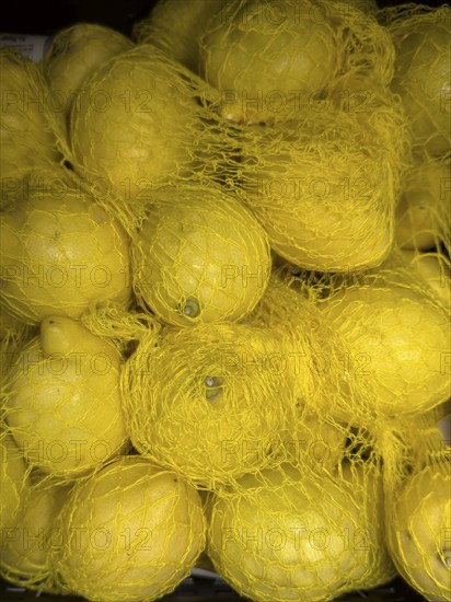 Lemons (Citrus limon) environmentally friendly packed with packaging in plastic net in display of