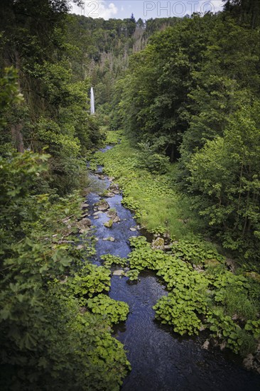 The Selbitz river flows through the Höllental valley between Thuringia and Bavaria. Lichtenberg, 21