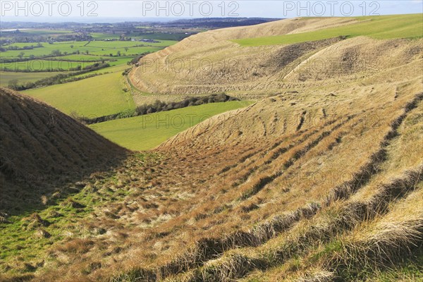 Dry valleys chalk scarp slope Roundway Down, North Wessex Downs, Wiltshire, England, UK