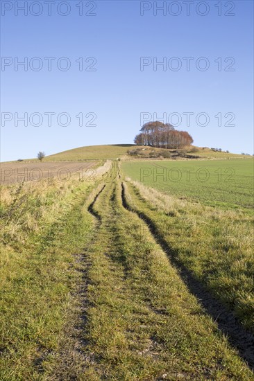 Chalk landscape in winter, Woodborough Hill, Vale of Pewsey, Wiltshire, England, UK