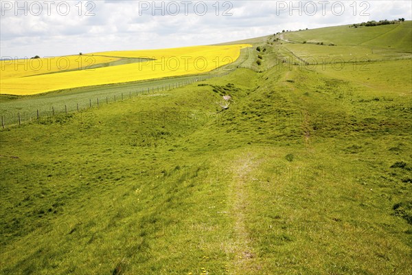 Ditch and embankment of the Wansdyke a Saxon defensive structure on All Cannings chalk downs, Tan