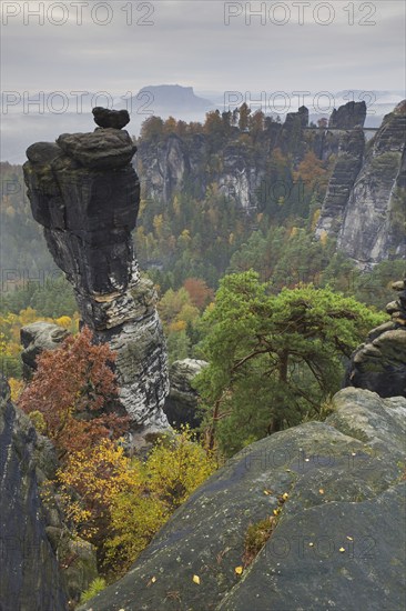 View over the rock tower Wehlnadel and the valley Wehlgrund in autumn, Saxon Switzerland,