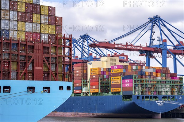 Magleby Maersk container freighter at EUROGATE Container Terminal, Waltershofer Hafen, one of the