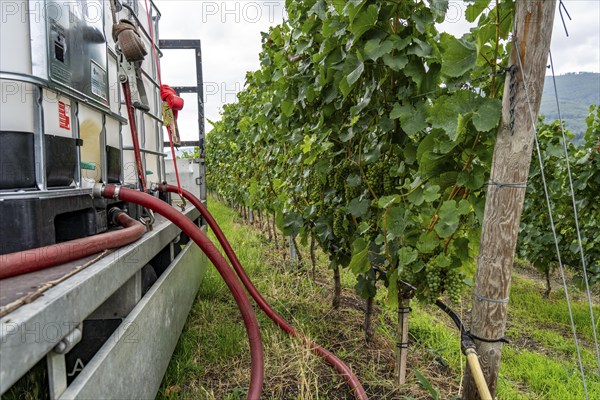 Upper Middle Rhine Valley, water tank for irrigating grapevine plants, in the Kapellenberg vineyard