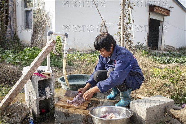 Lu Jua Ling prepares a duck for her colleagues to eat, Duck Breeding Centre Jiang Su Xiang Gui