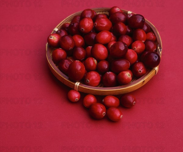 Bowl with Lingonberries (Vaccinium vitis-idaea)