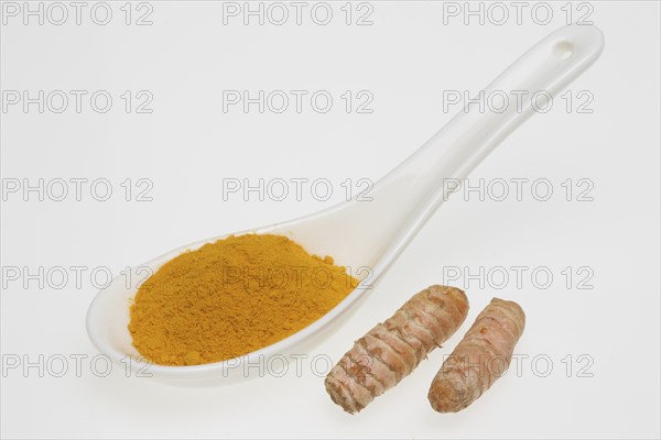 Turmeric (Curcuma longa) or curcume, yellow ginger, saffron root, turmeric, plant species of the