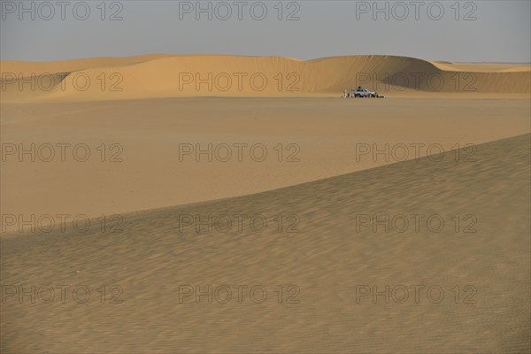 Dunes in the Nubian Desert in Dongola, Northern State, Nubia, Sudan, Africa