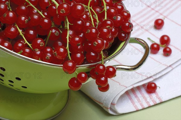 Redcurrants (Ribes rubrum) in drainer, strainer