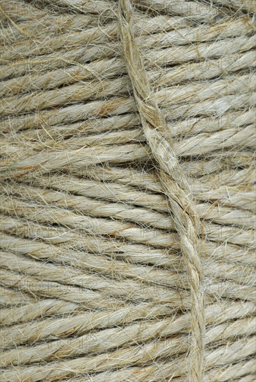 Roll of jute string, jute thread, jute fibre, bast fibre, natural fibre, yarn, cord, plant fibre