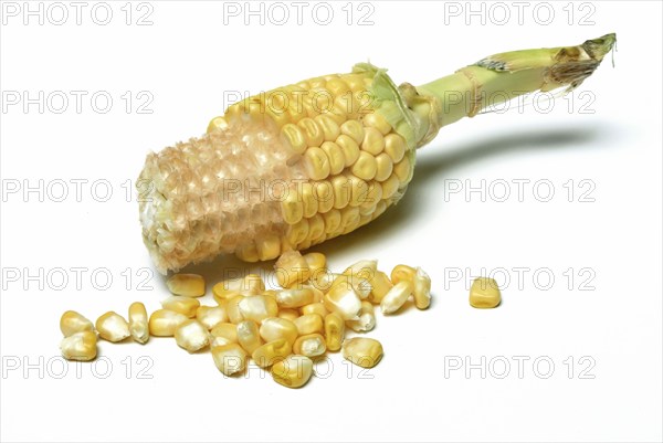 Cornpistons (Zea mays) and grains