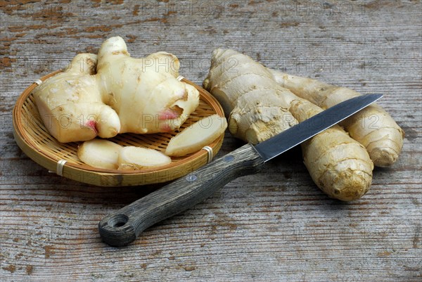 Ginger ( Zingiber officinale) , freshly harvested and usual trade form, roots, root, knife