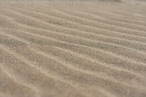 Sand drifts on the beach "Platja del Fangar", coast, nature reserve, ebro delta, Catalonia, Spain,
