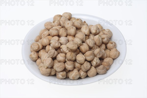 Chickpeas (Cicer arietinum), field pea, legume family