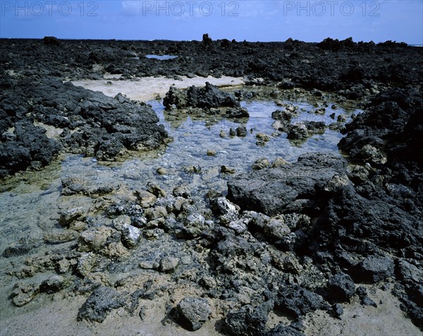 Coast at Orzola, Lanzarote, Canary Islands, Spain, Coast at Orzola, Canary Islands (Europe)