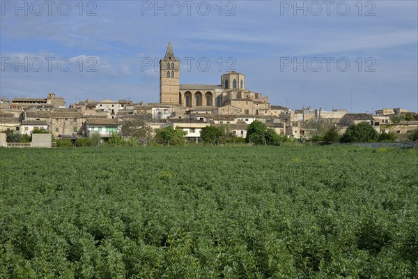 Parish church Nostra Senyora dels Angels, Sineu, Majorca, Balearic Islands, Spain, Europe