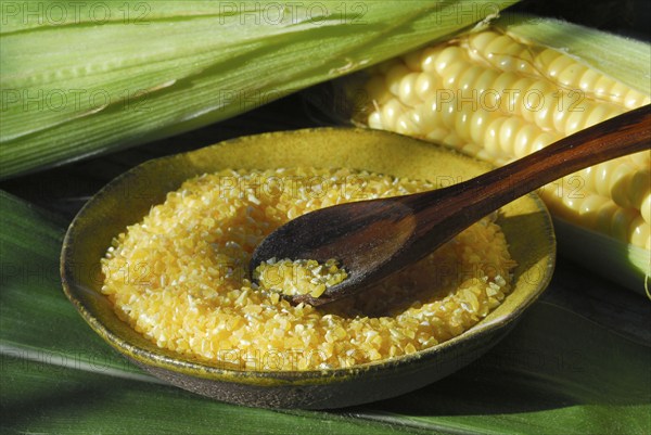 Polenta, maize, maize semolina, maize semolina, corn on the corn corn corn corn corn corn corn corn