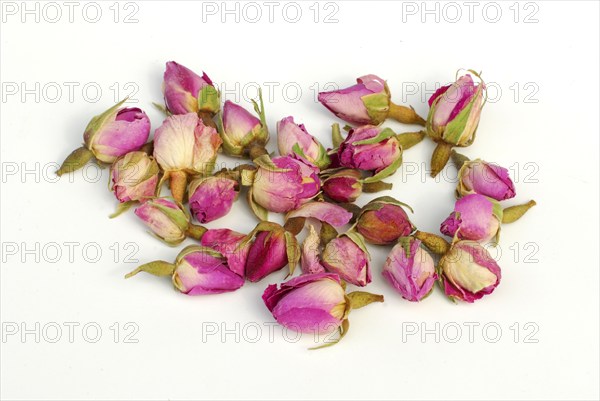Dried rosebuds