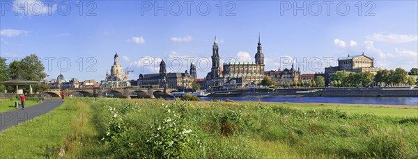Dresden Scherenschnitt
