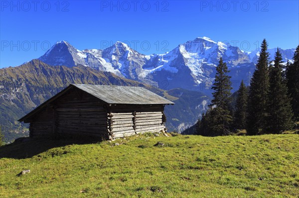 Lauterbrunnen Valley, Eiger, 3970 m, Mönch, 4107 m, and Jungfrau, 4158 m, view from Sulwald,