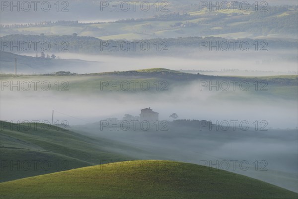 Landscape at sunrise around Volterra, province of Pisa, Tuscany, Italy, Europe
