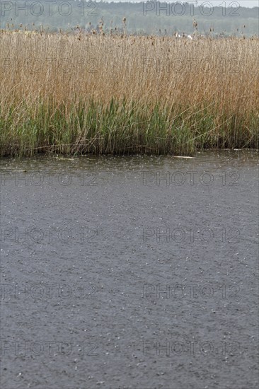 Heavy rain on the Trebel River, severe weather, Peene Valley River Landscape nature park Park,