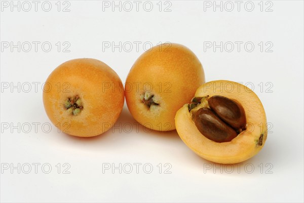 Medlar (Eriobotrya japonica) Nespoli, Medlar, Japanese medlar, Japanese medlar
