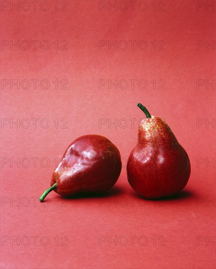 Pears 'Williams Christus (Pyrus communis)