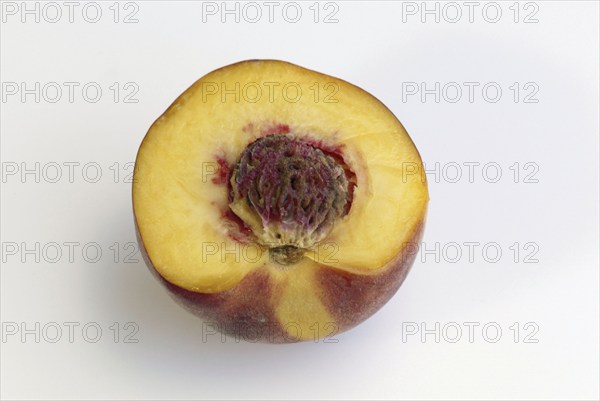 Peach half (Prunus persica)