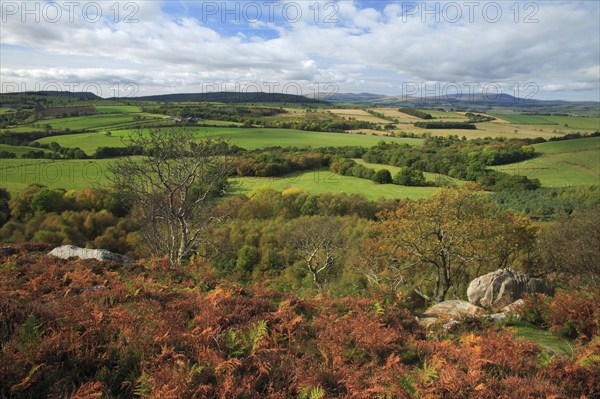 Blick from Corby Crags near Alnwick, Cheviot Hills, Northumberland national park, England, United