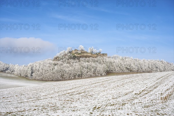The Mägdeberg with castle ruins in winter, with hoarfrost, District of Constance,