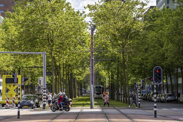 Urban greening, inner-city street Laan op Zuid, in Rotterdam's Feijenoord district, 4 lanes, 2 tram