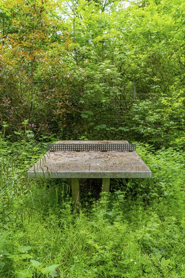 Lost Places, old table tennis table on an abandoned, closed playground, overgrown and surrounded by