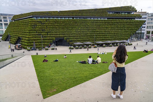 Green façade, consisting of over 30, 000 hornbeams forming a hedge a good 8 kilometres long on the