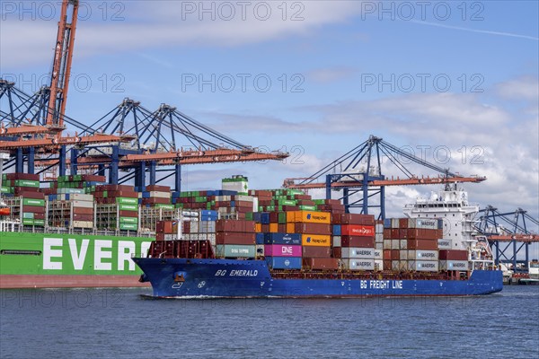 Euromax Container Terminal, BG Emerald of BF Fright Line, container feedership, container freighter
