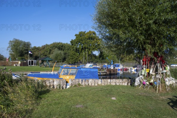 Fishing harbour on the Achterwasser, Zempin, Usedom Island, Baltic Sea, Mecklenburg-Western