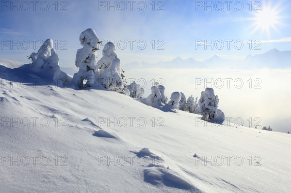 Bernese Alps, View from the Niederhorn, Bernese Oberland, Switzerland, Europe