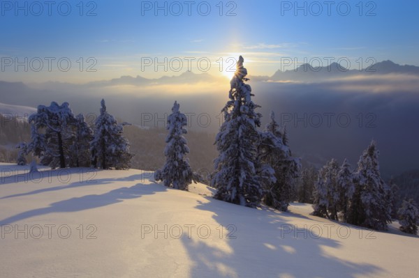 Bernese Alps, View from the Niederhorn, Bernese Oberland, Switzerland, Europe